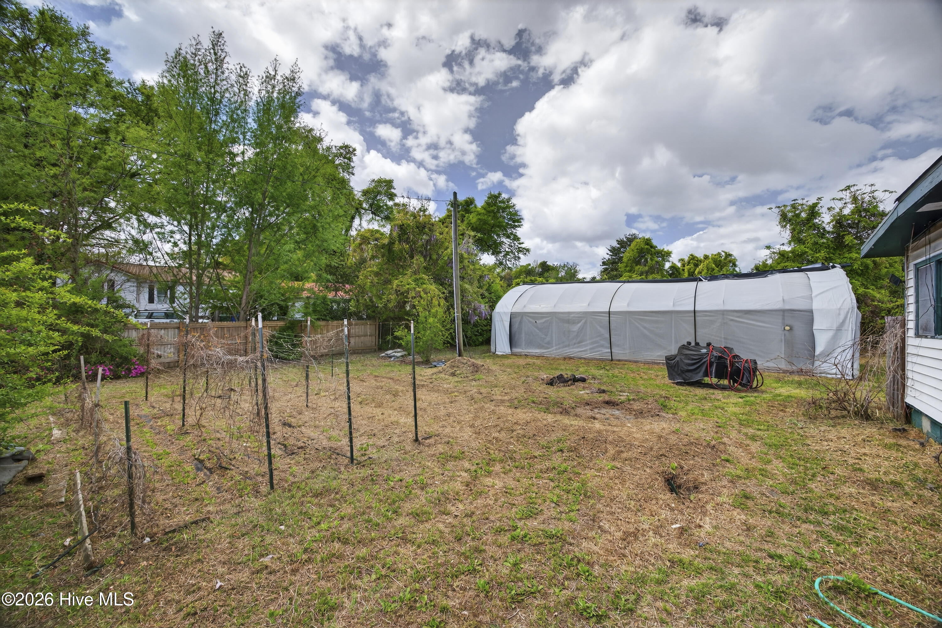 100564526 | Photo 42