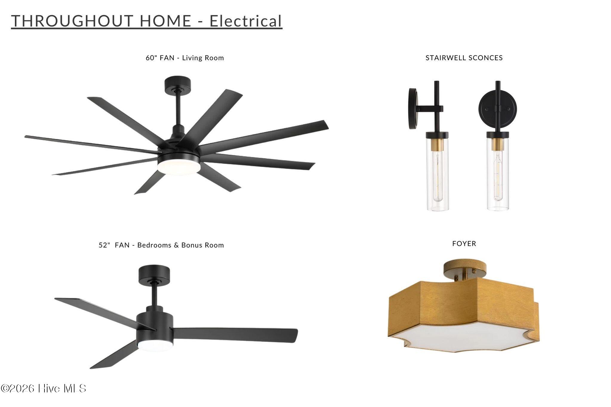 100556991 | Photo 13