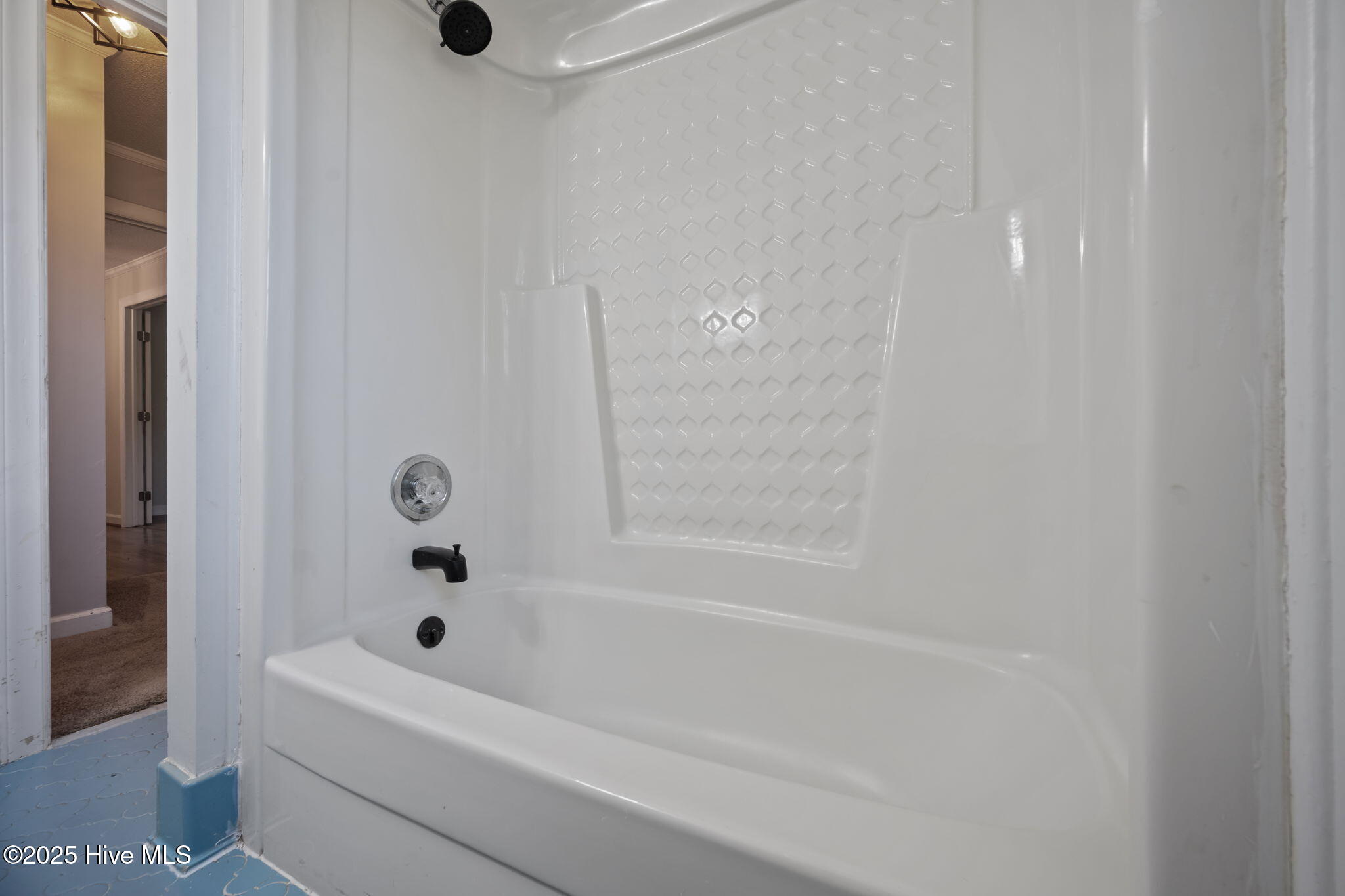 100537375 | Photo 35