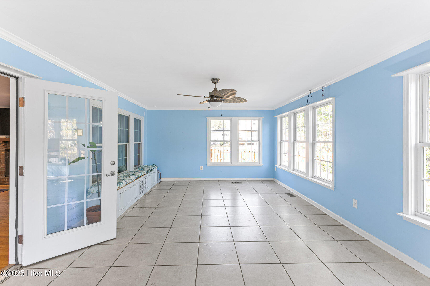 100542289 | Photo 17