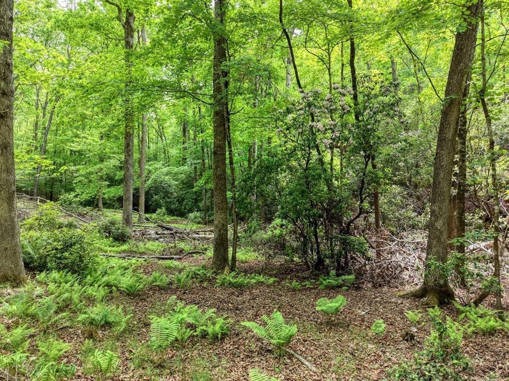 277 Clay Durrett Road, Murphy, NC 28906 Listing Photo  71