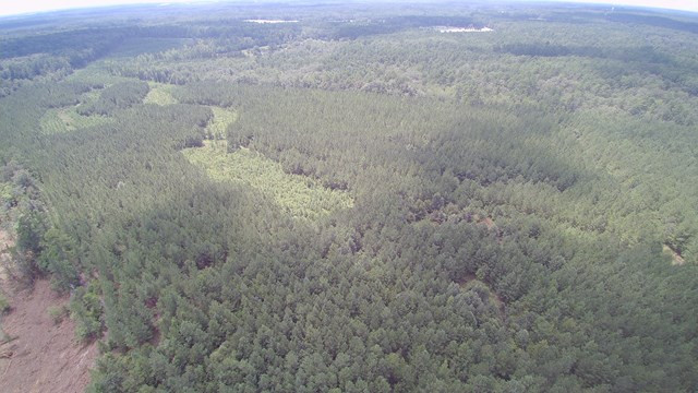 00 Augusta Highway, Dearing, GA 30808 Listing Photo  5