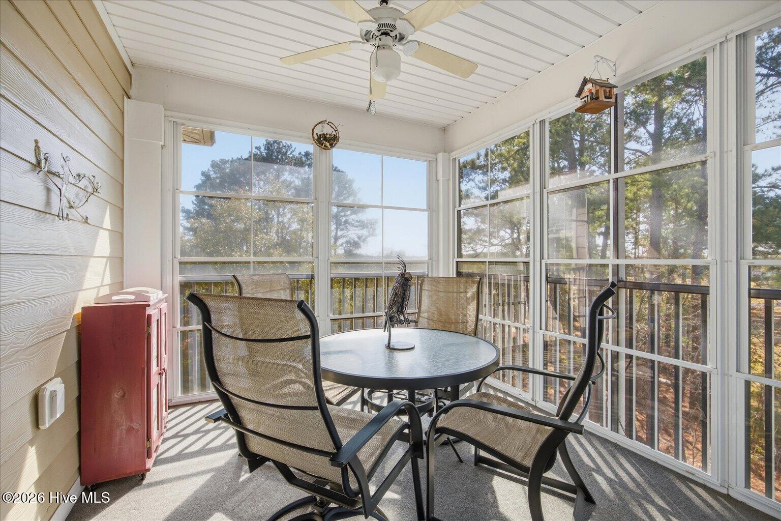 100558706 | Photo 13