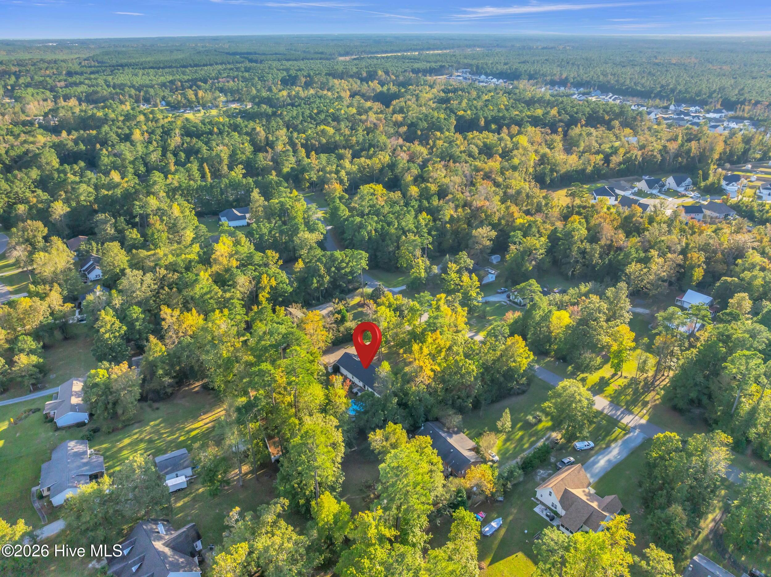 100562256 | Photo 51