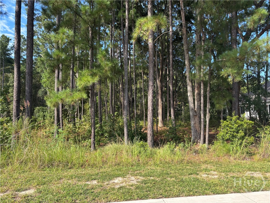 5th image of 183 Wood Haven Ln, Pooler, GA 31322 | MLS# SA338959