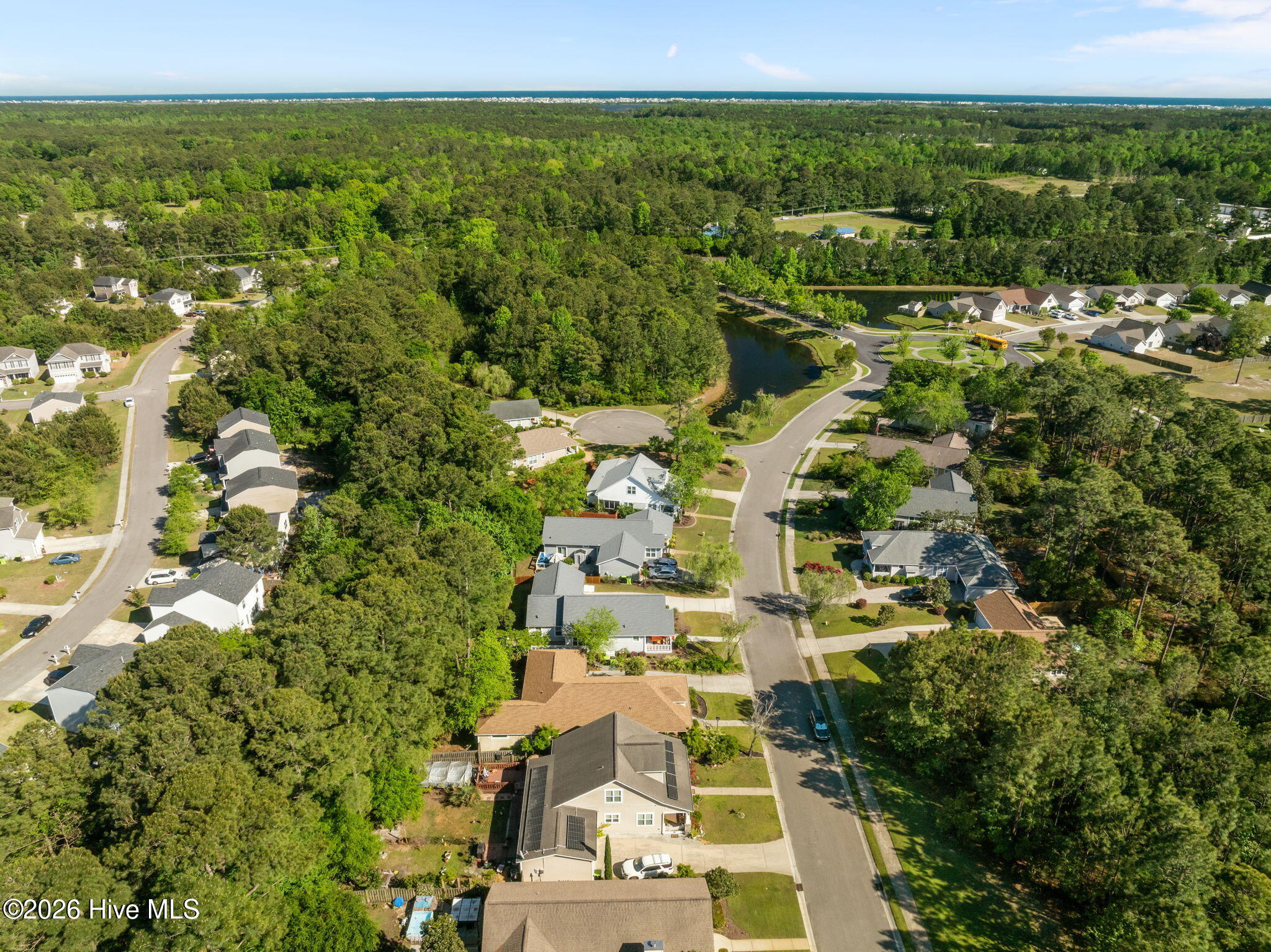 100569497 | Photo 44