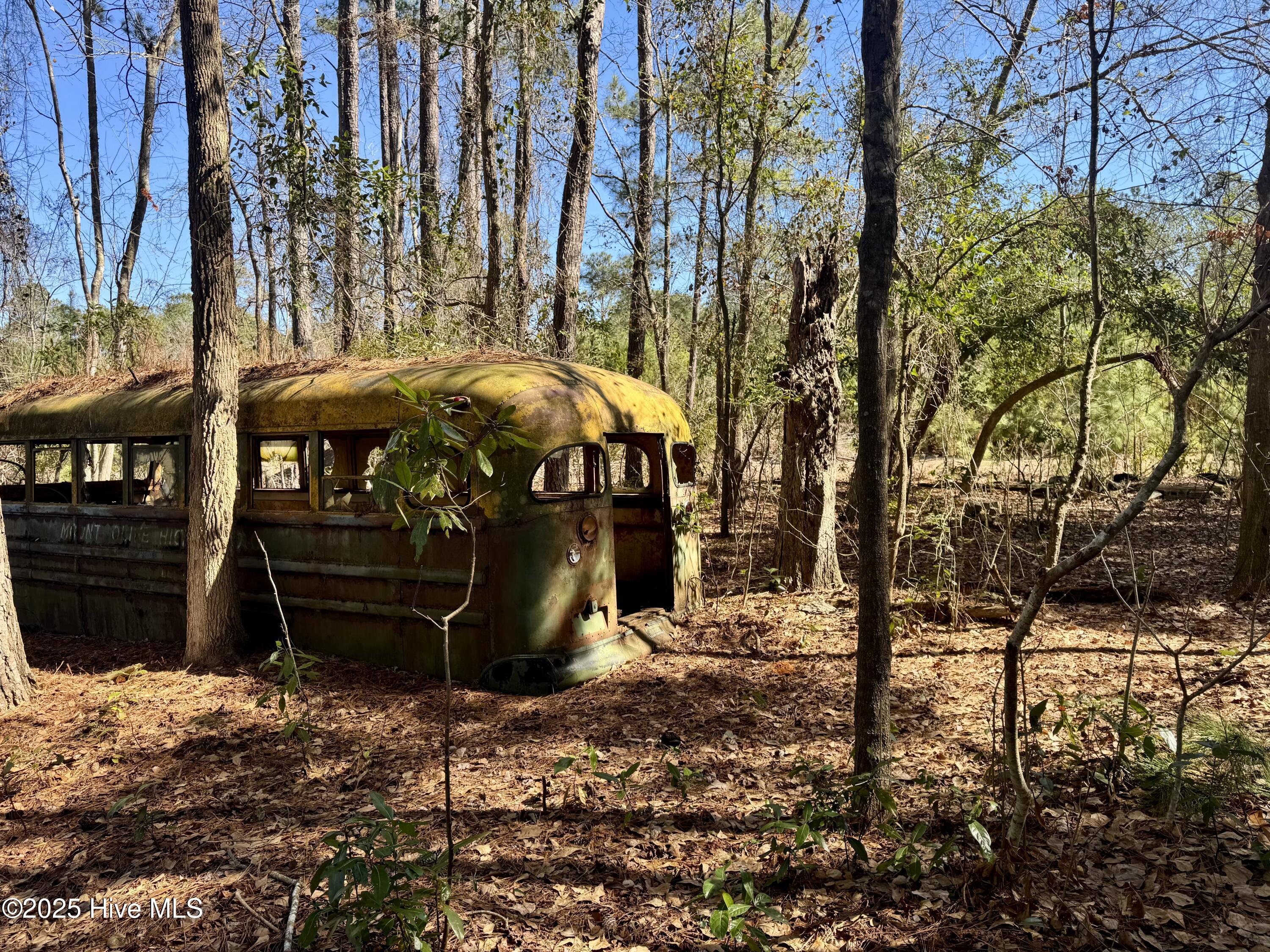 100490813 | Photo 25