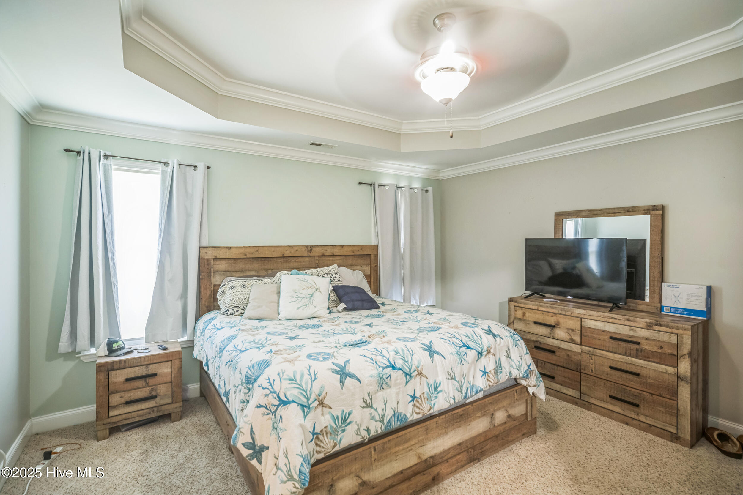 100517815 | Photo 12