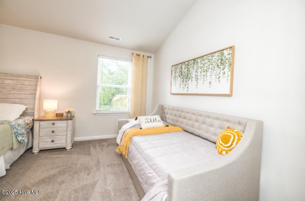 100521113 | Photo 12