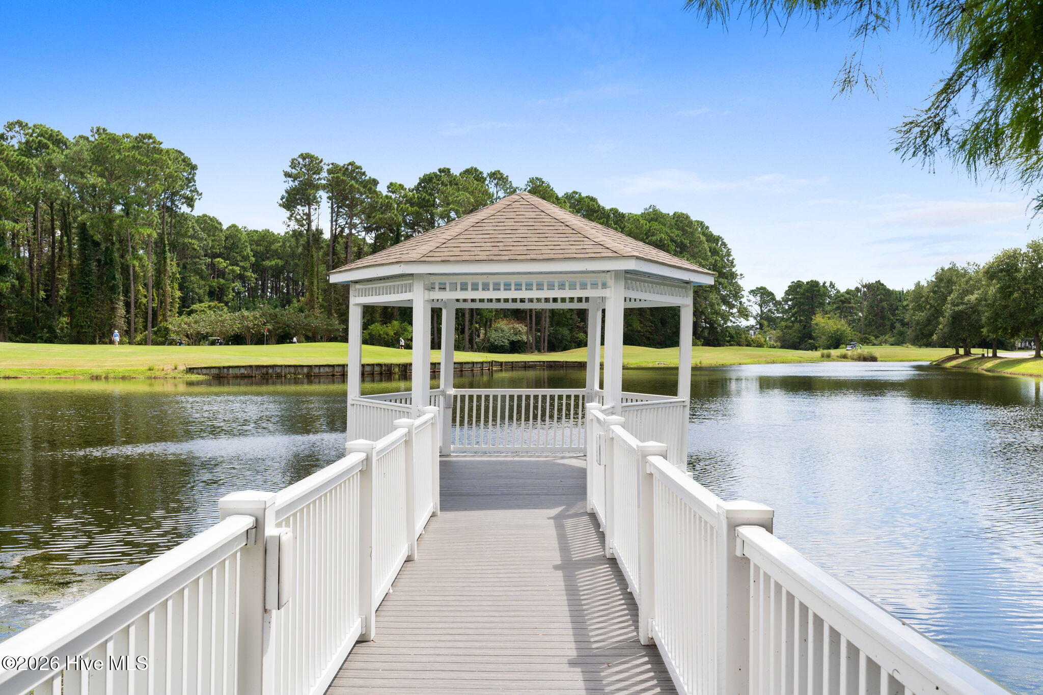 100559381 | Photo 44