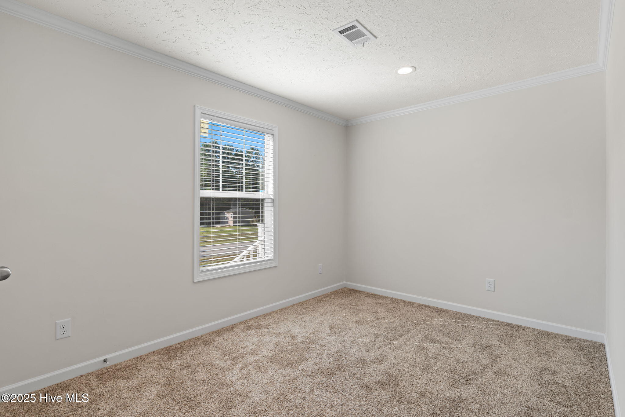 100558290 | Photo 22