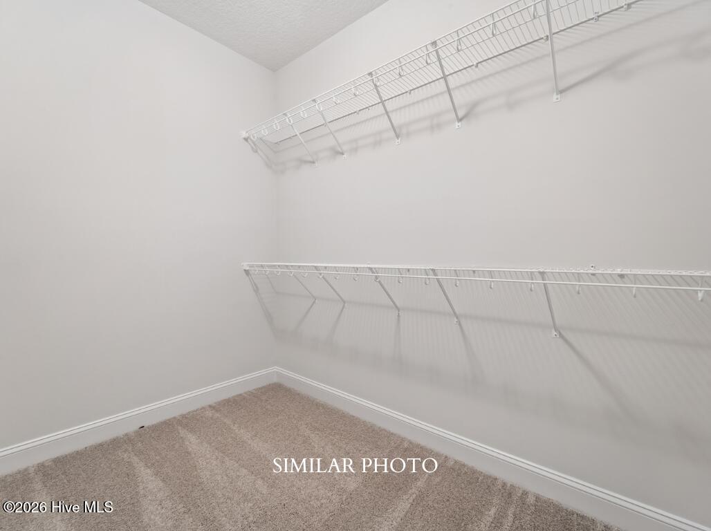 311 Water Wagon Trail, Jacksonville, NC, 28546