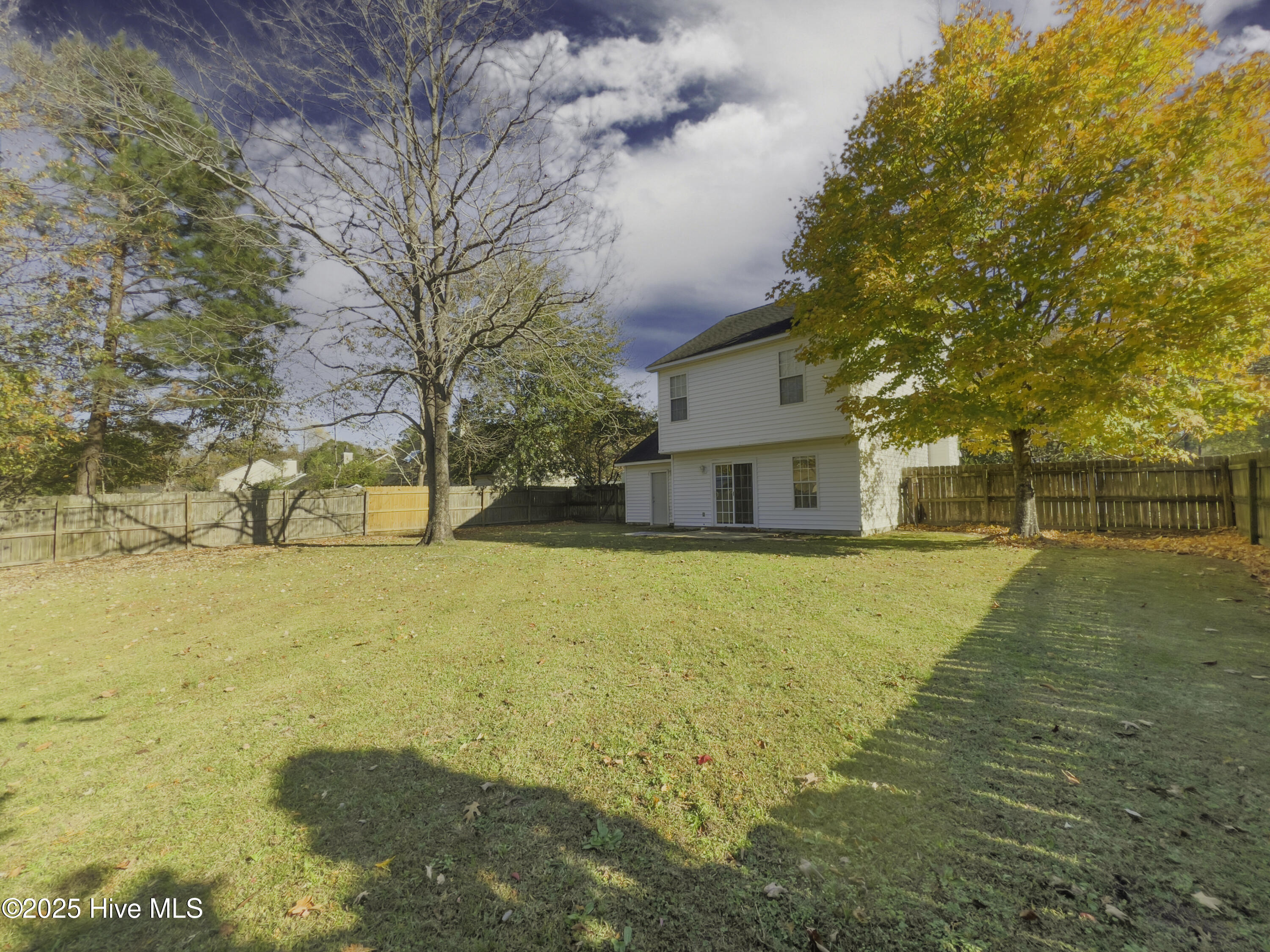 100536180 | Photo 33