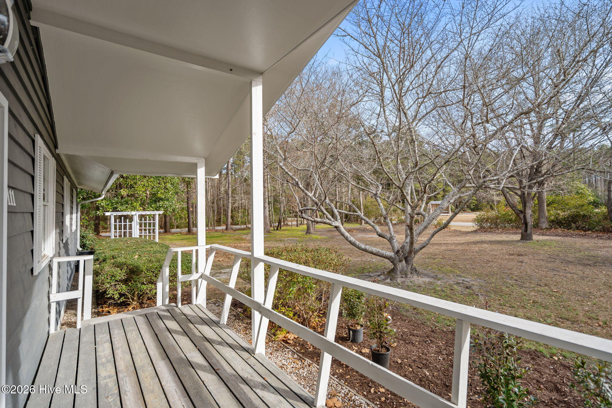 100541666 | Photo 76