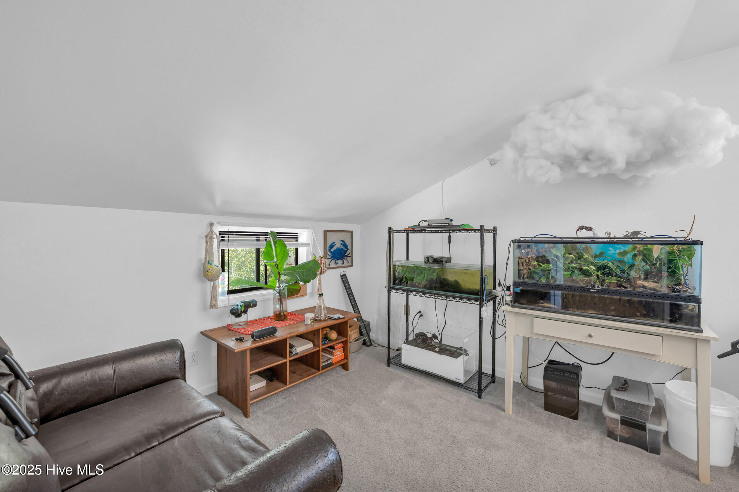 100532115 | Photo 85