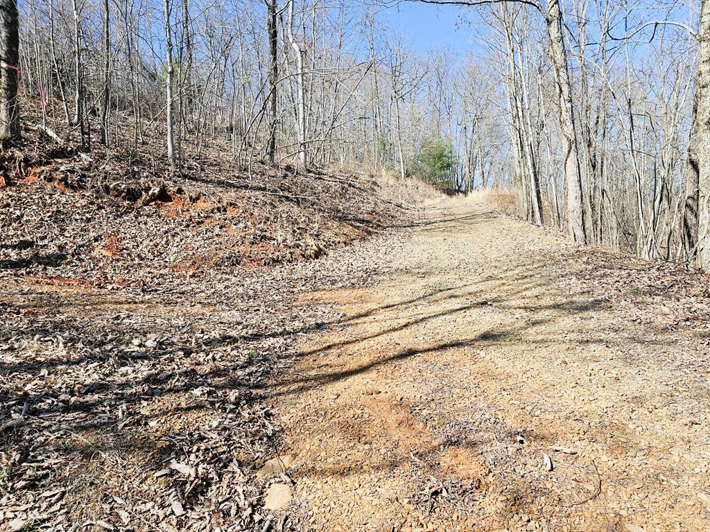 Exterior photo of Lot 39 Merlin Trl / Warbler Road, Murphy, NC 28906. MLS: 98544544