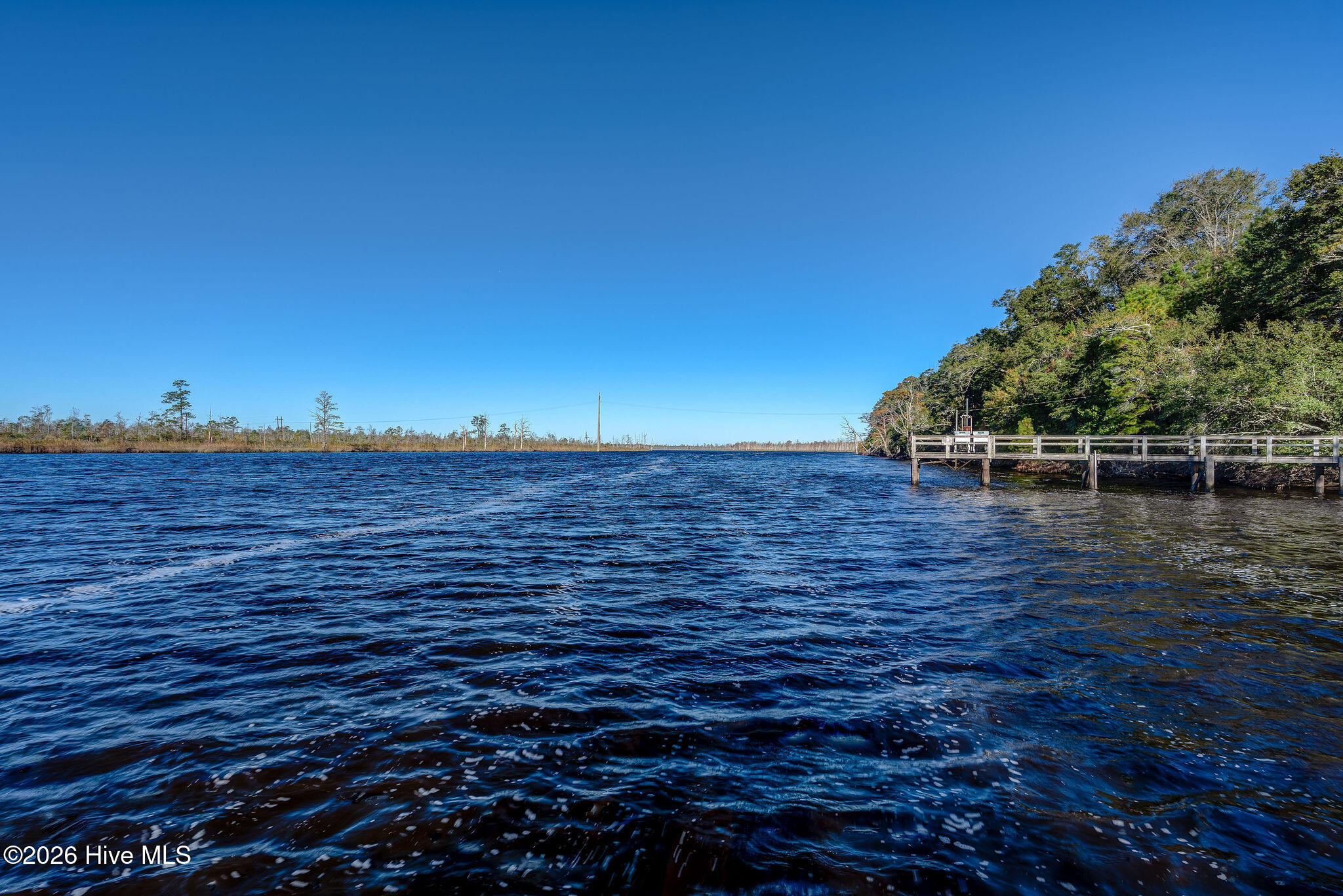 100560039 | Photo 47