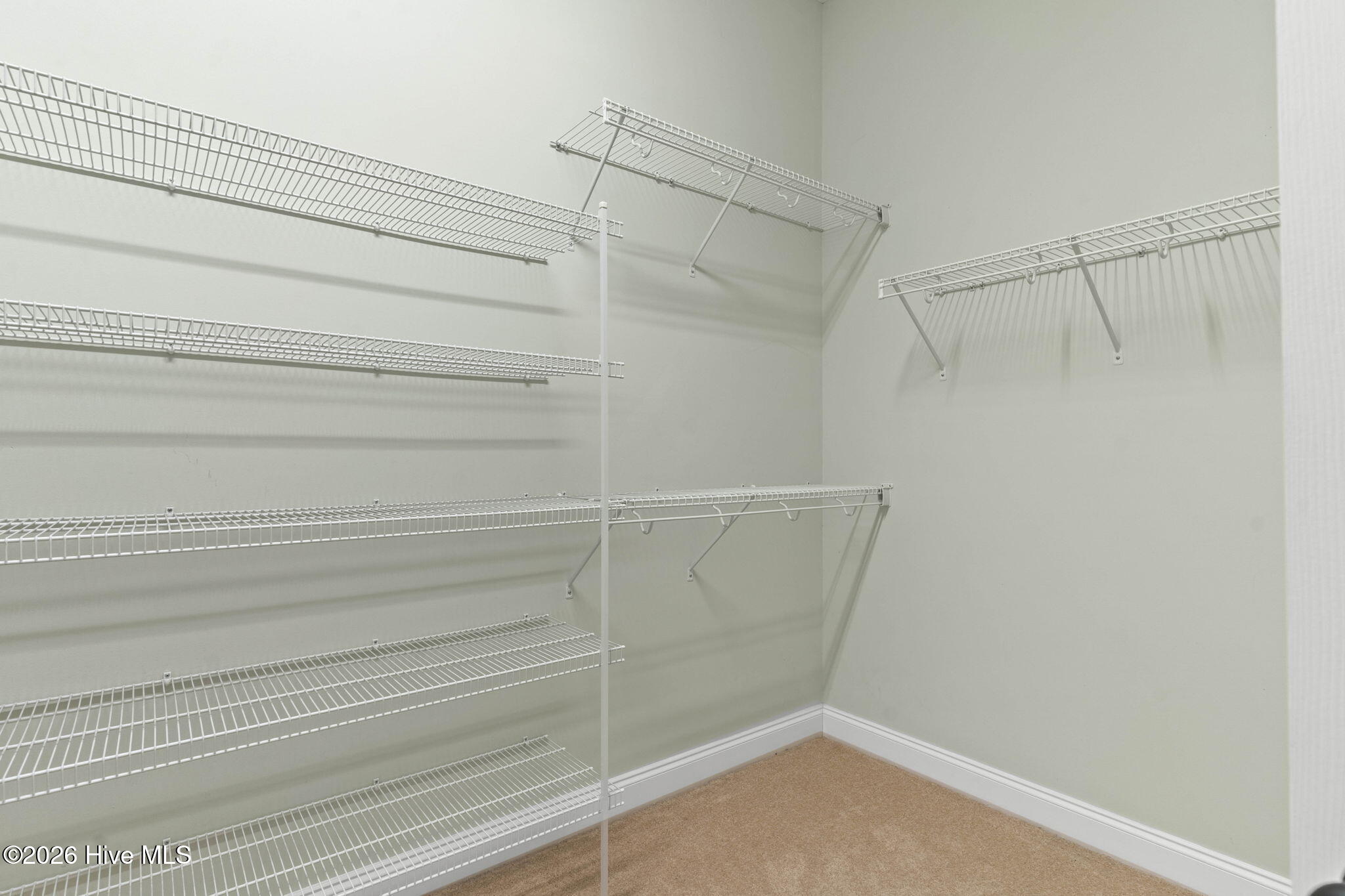 100568005 | Photo 23