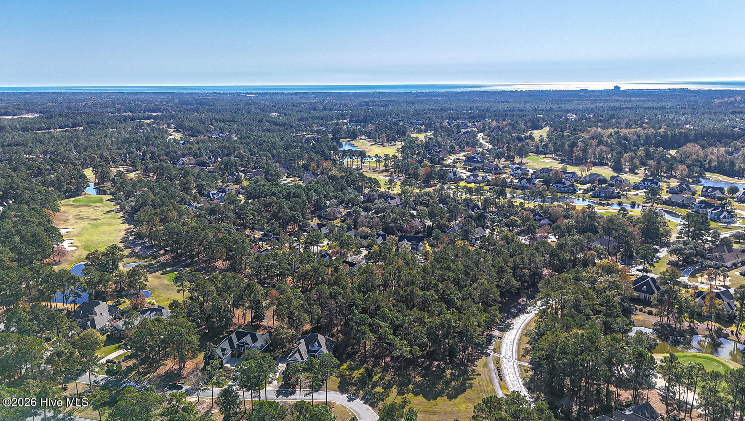 100551245 | Photo 71