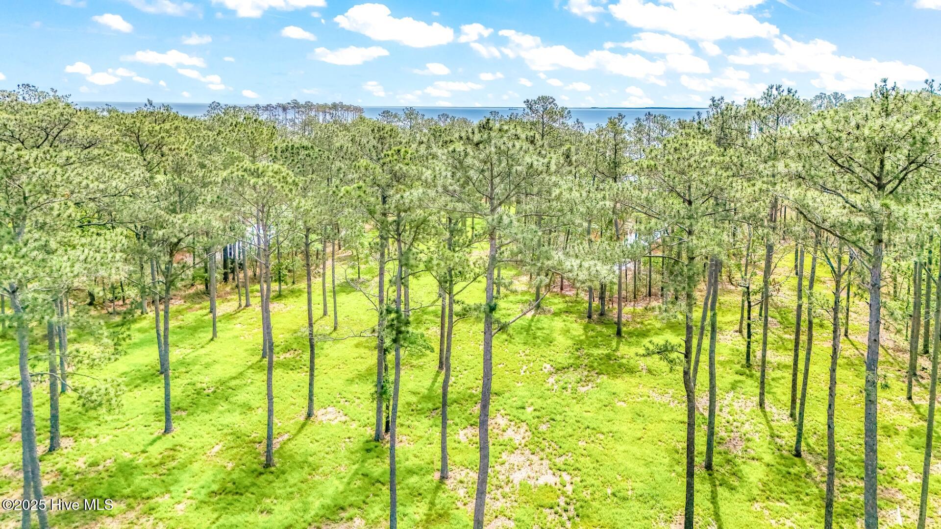 175 River Watch Road, Oriental, NC, 28571