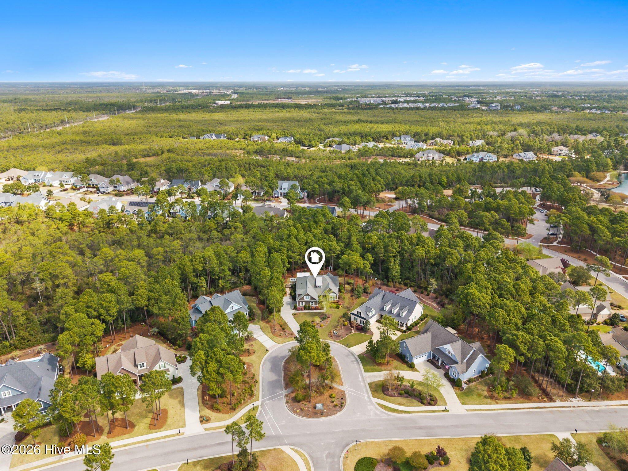 100566382 | Photo 47