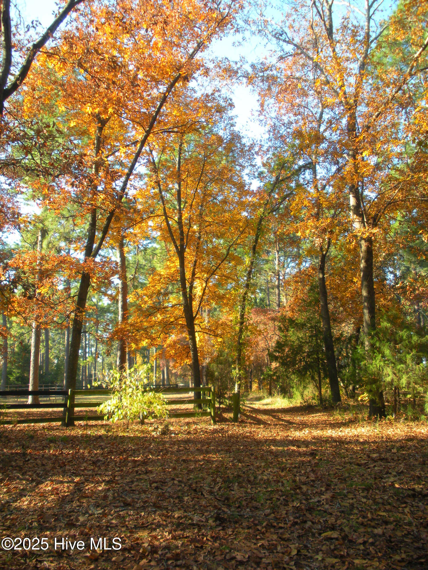 292 Bump A Long Lane, Southern Pines, NC, 28387