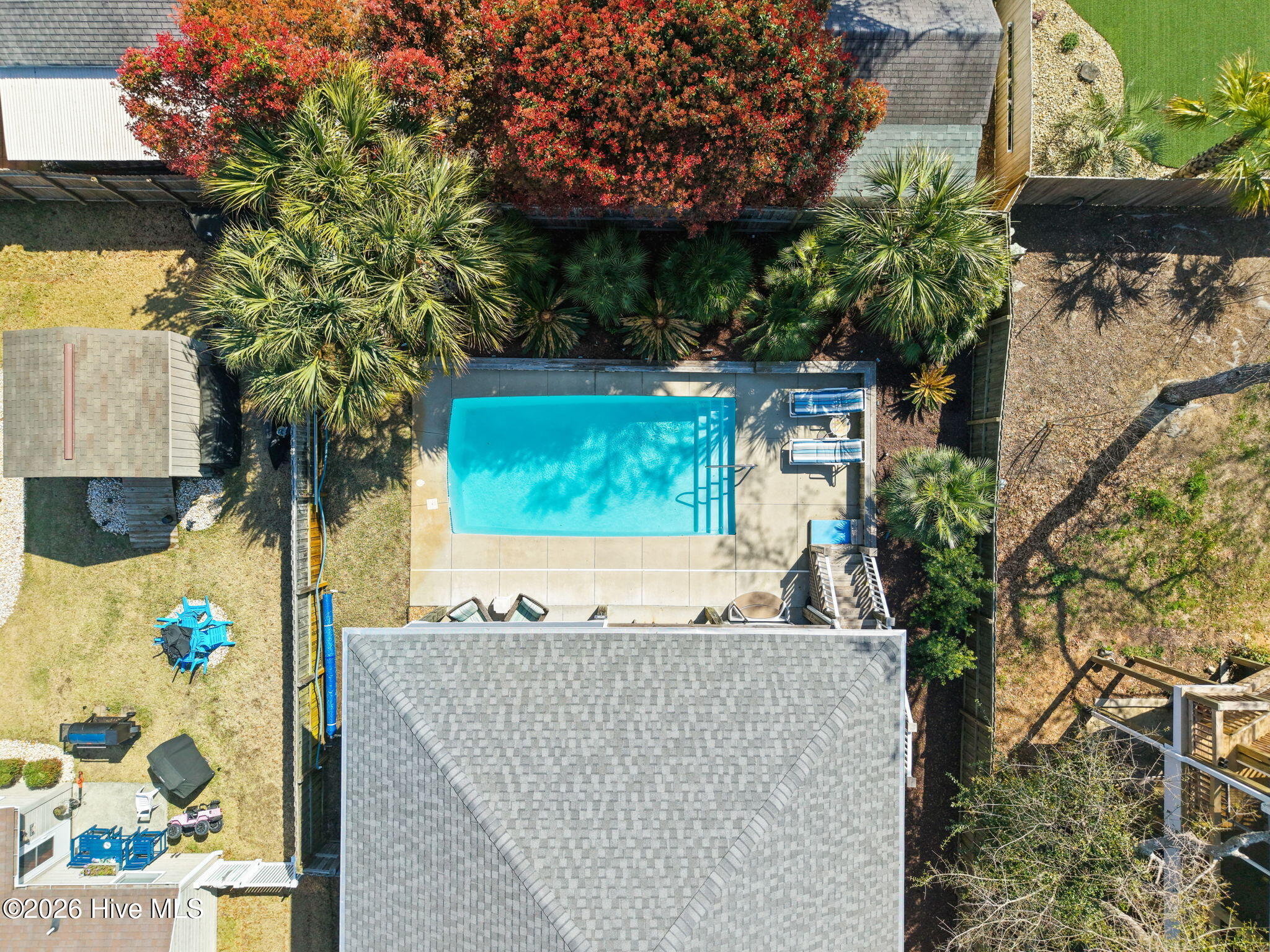 100563118 | Photo 59