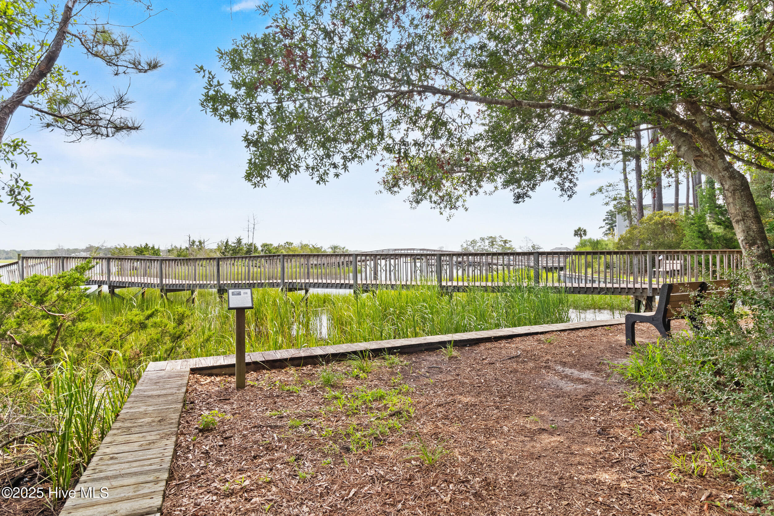 100525296 | Photo 42