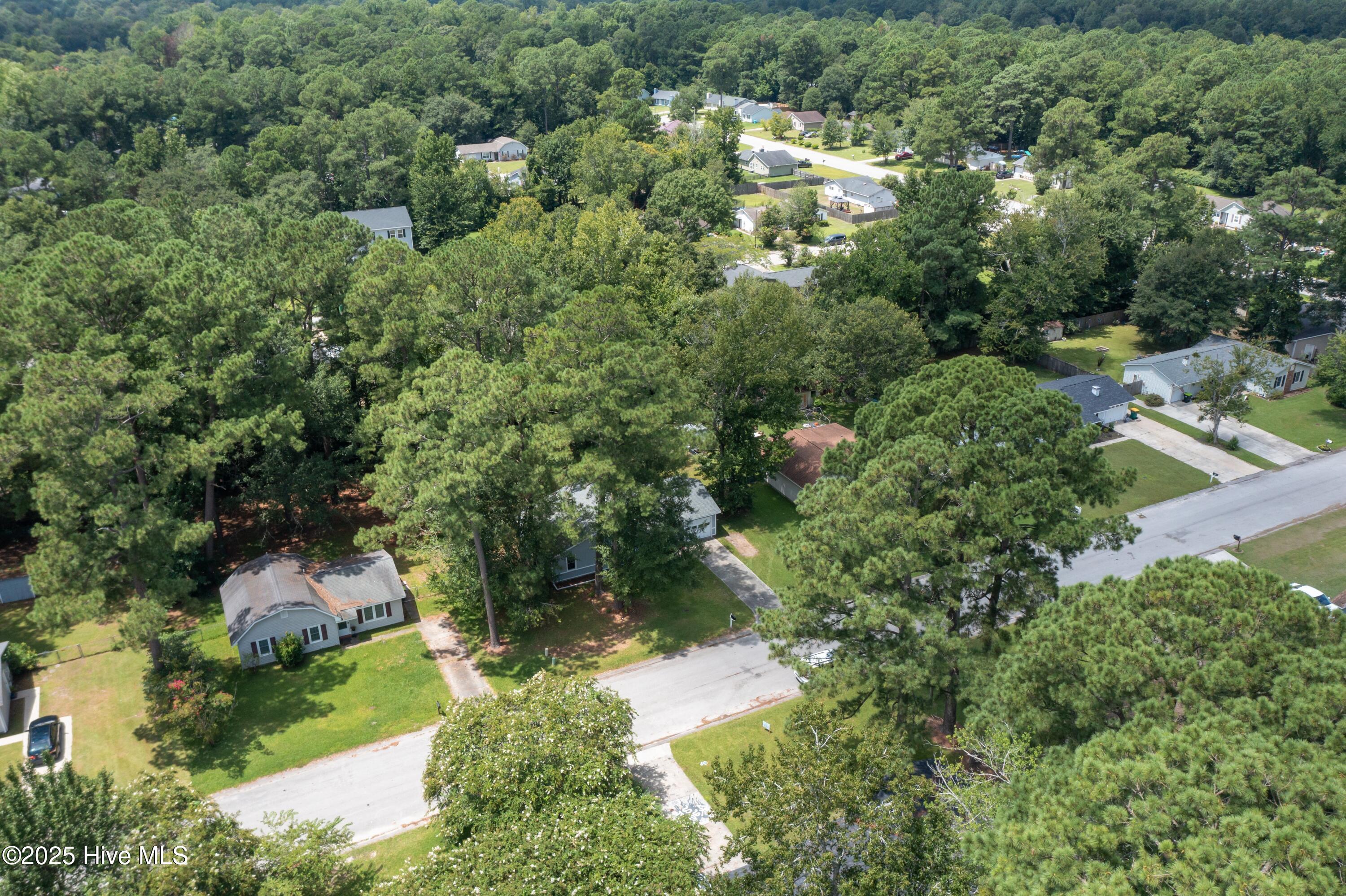 100523600 | Photo 35