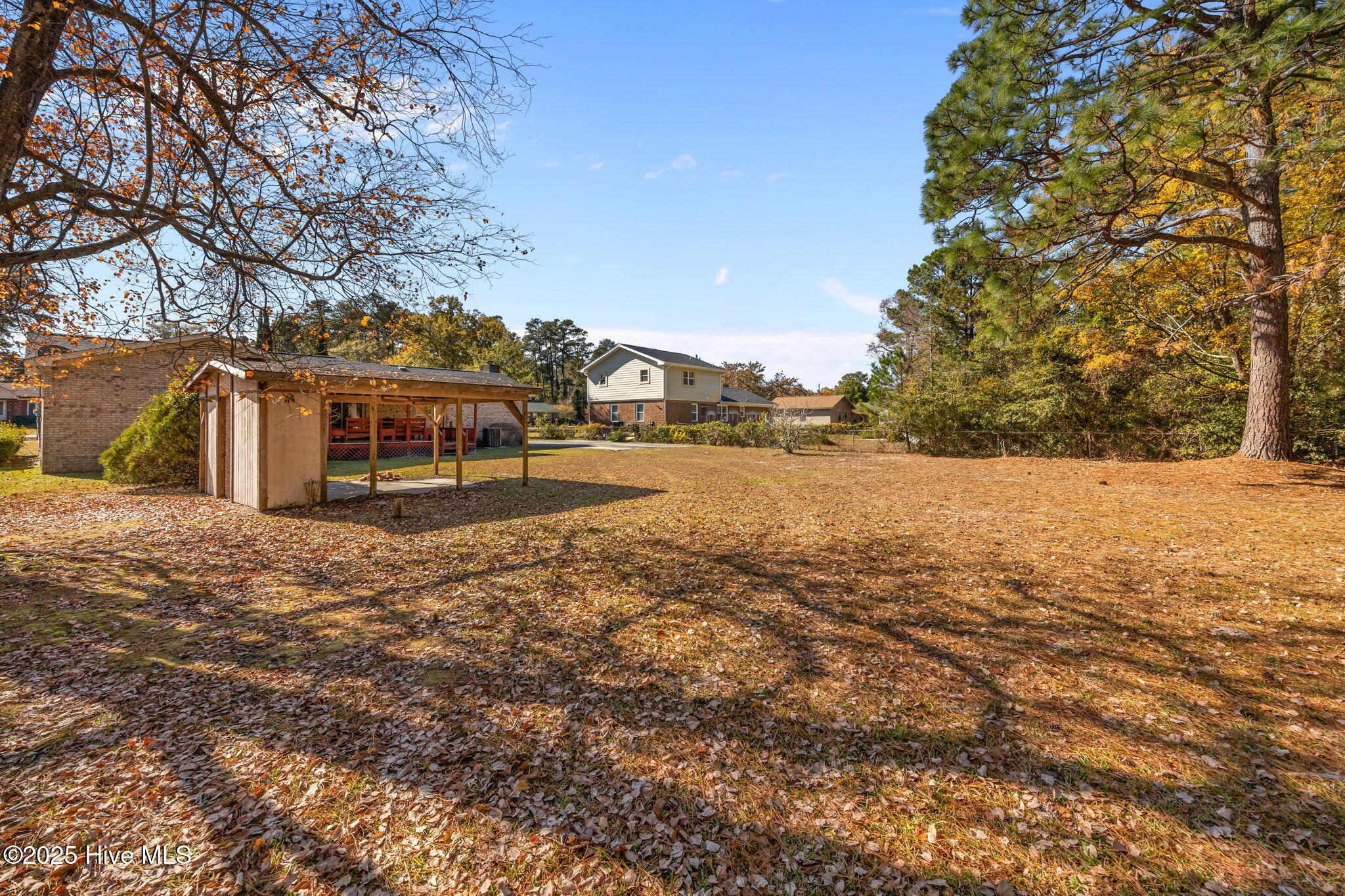 100542323 | Photo 33