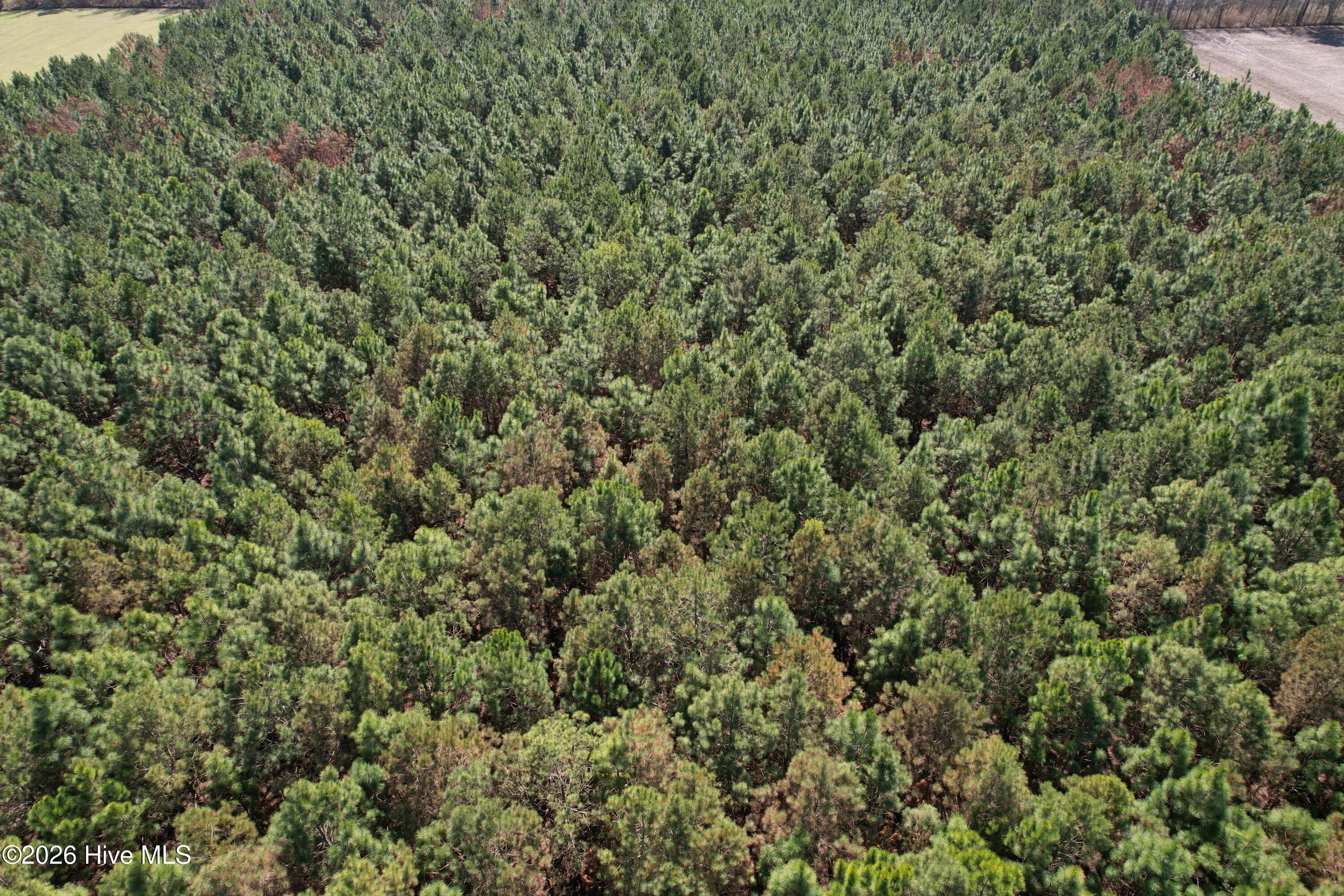 100560557 | Photo 19