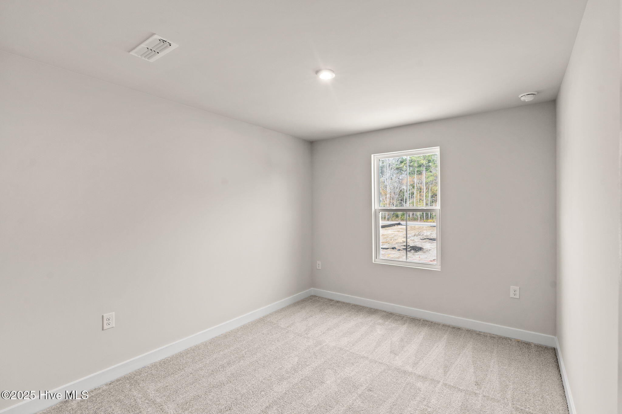 100541179 | Photo 15