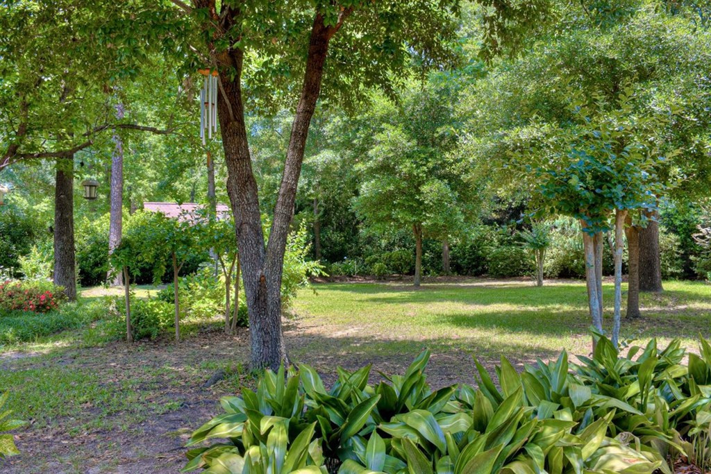 149 Herndon Road, Waynesboro, GA 30830 Listing Photo  35
