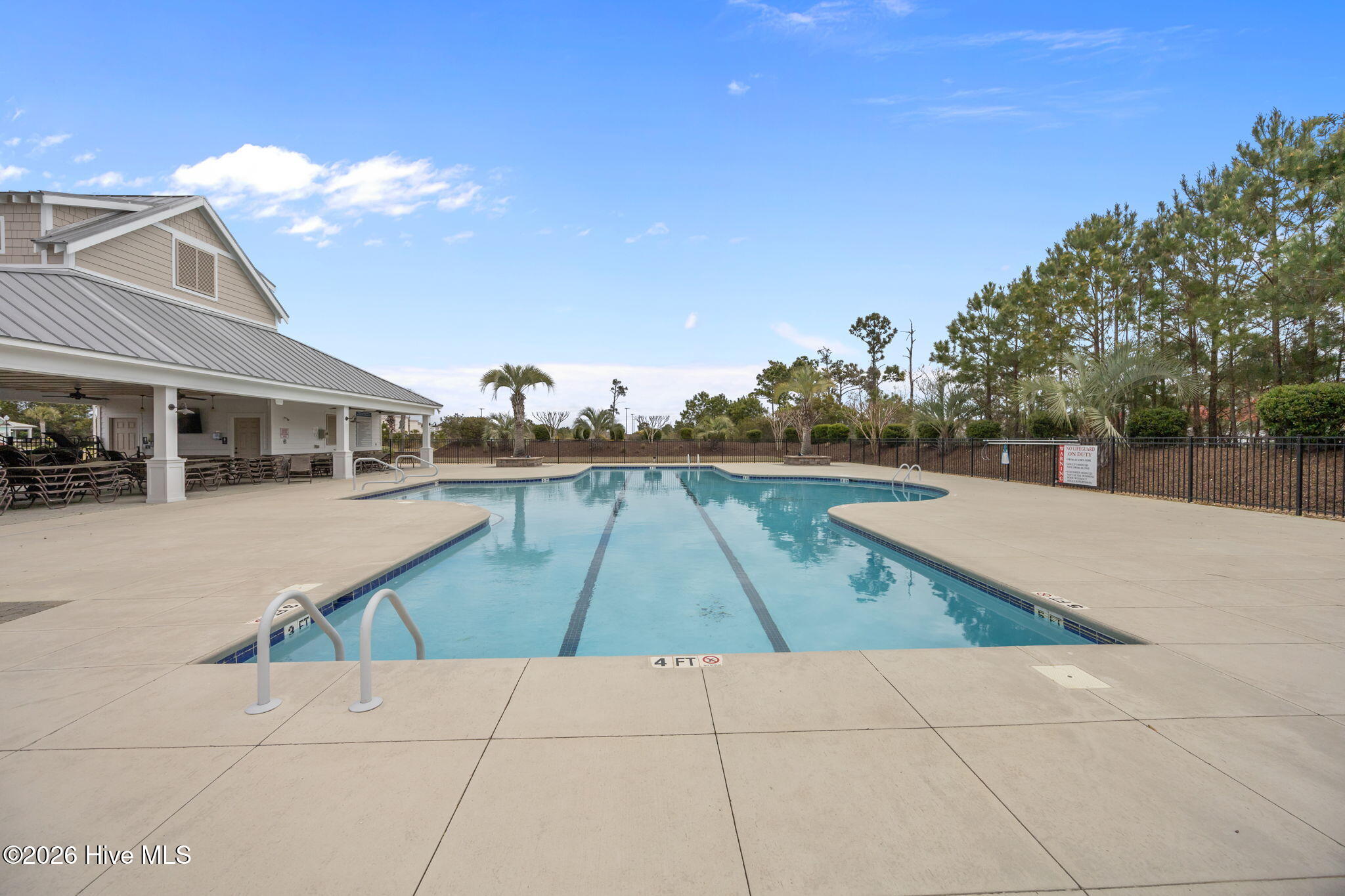 100563042 | Photo 42