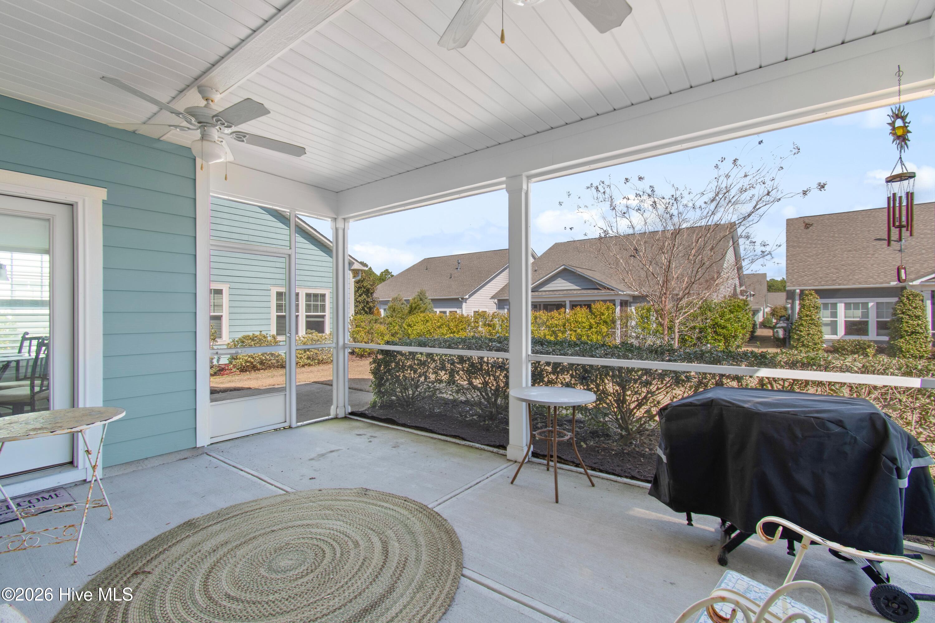 100559235 | Photo 41