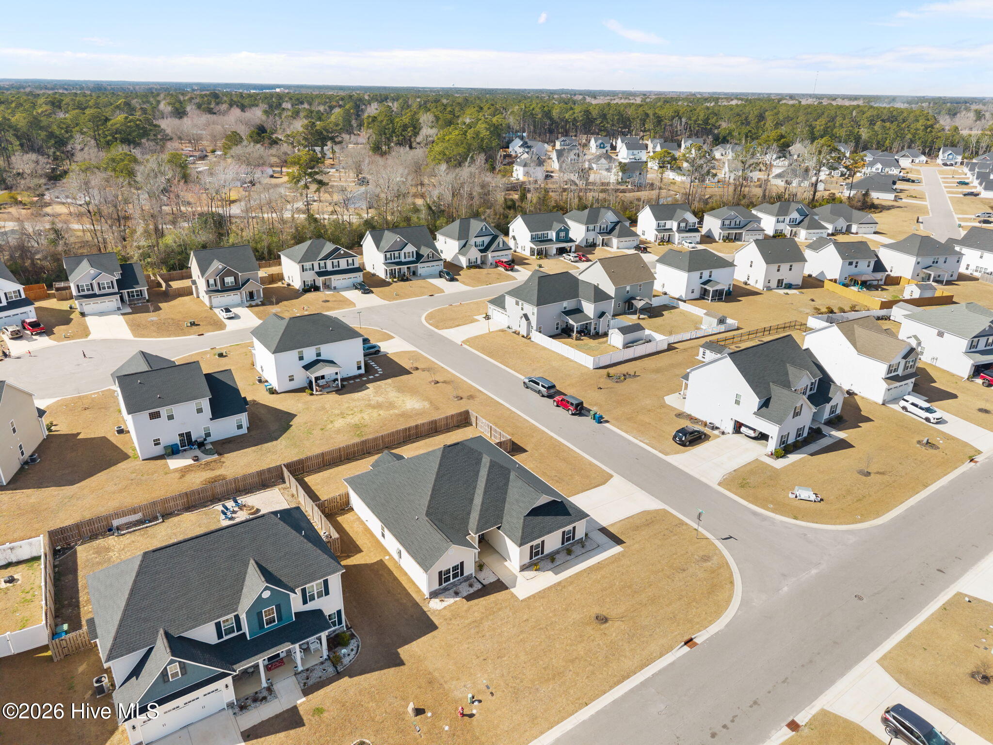 100556491 | Photo 47