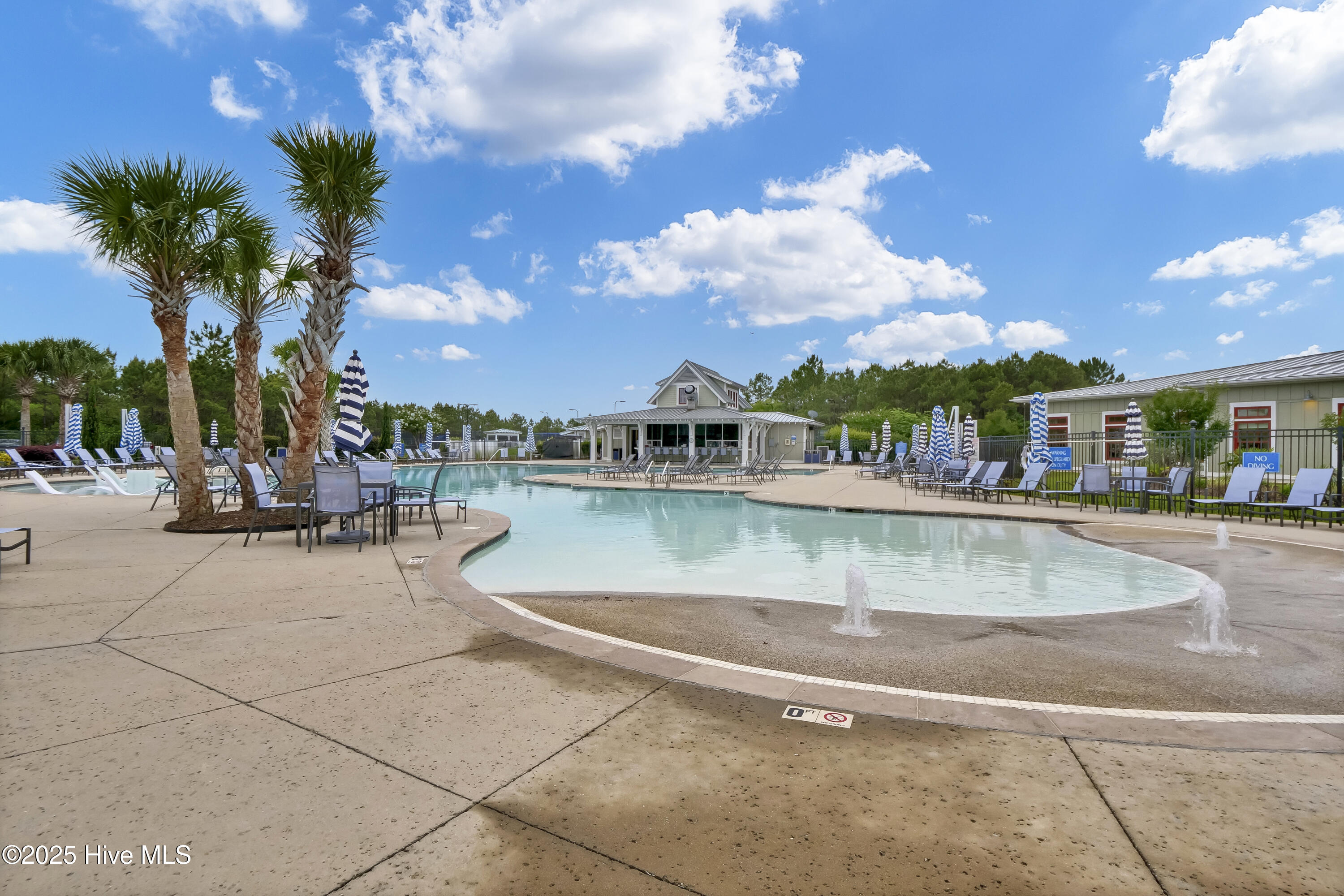 100511674 | Photo 53