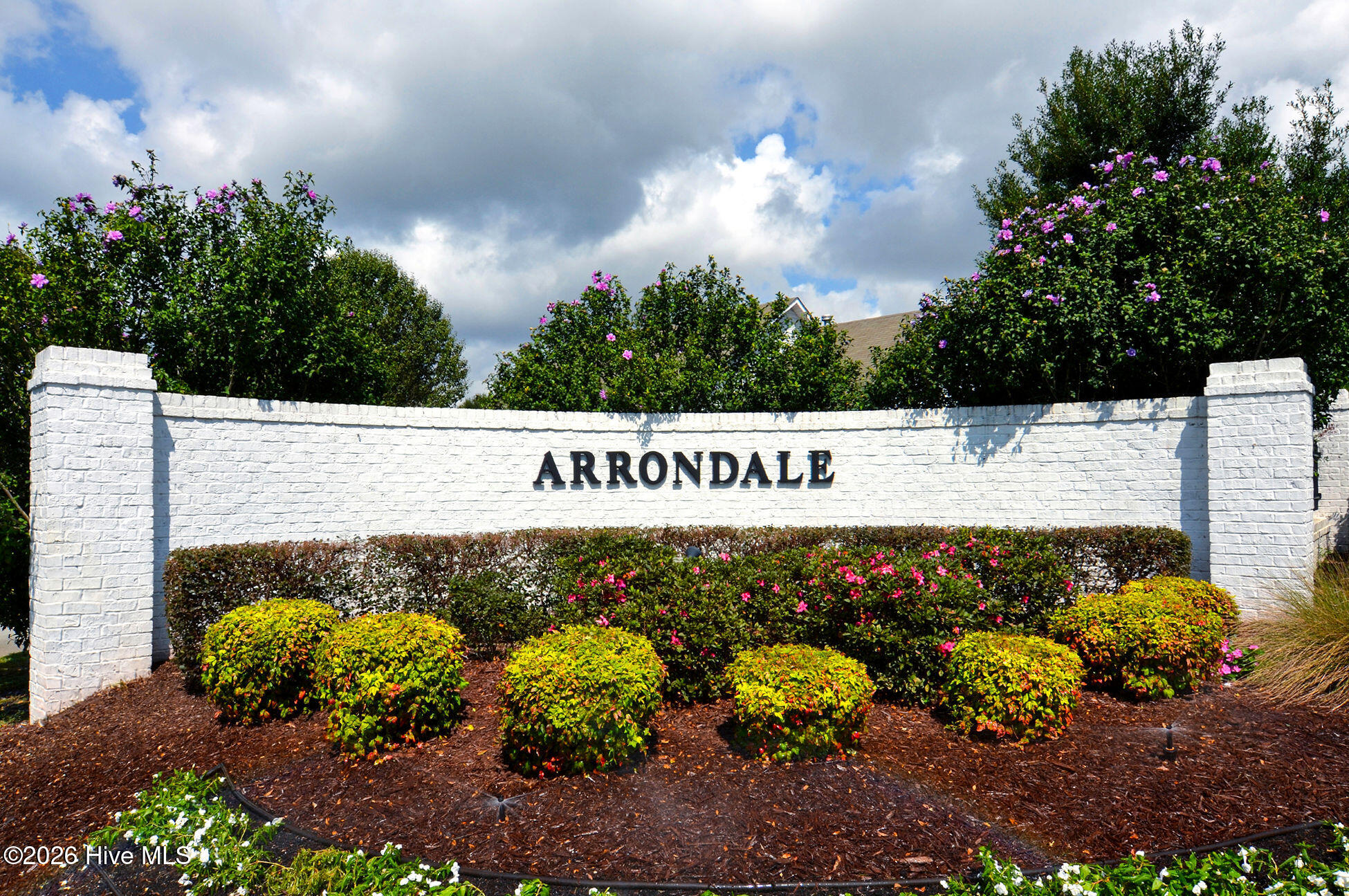 100567881 | Photo 45