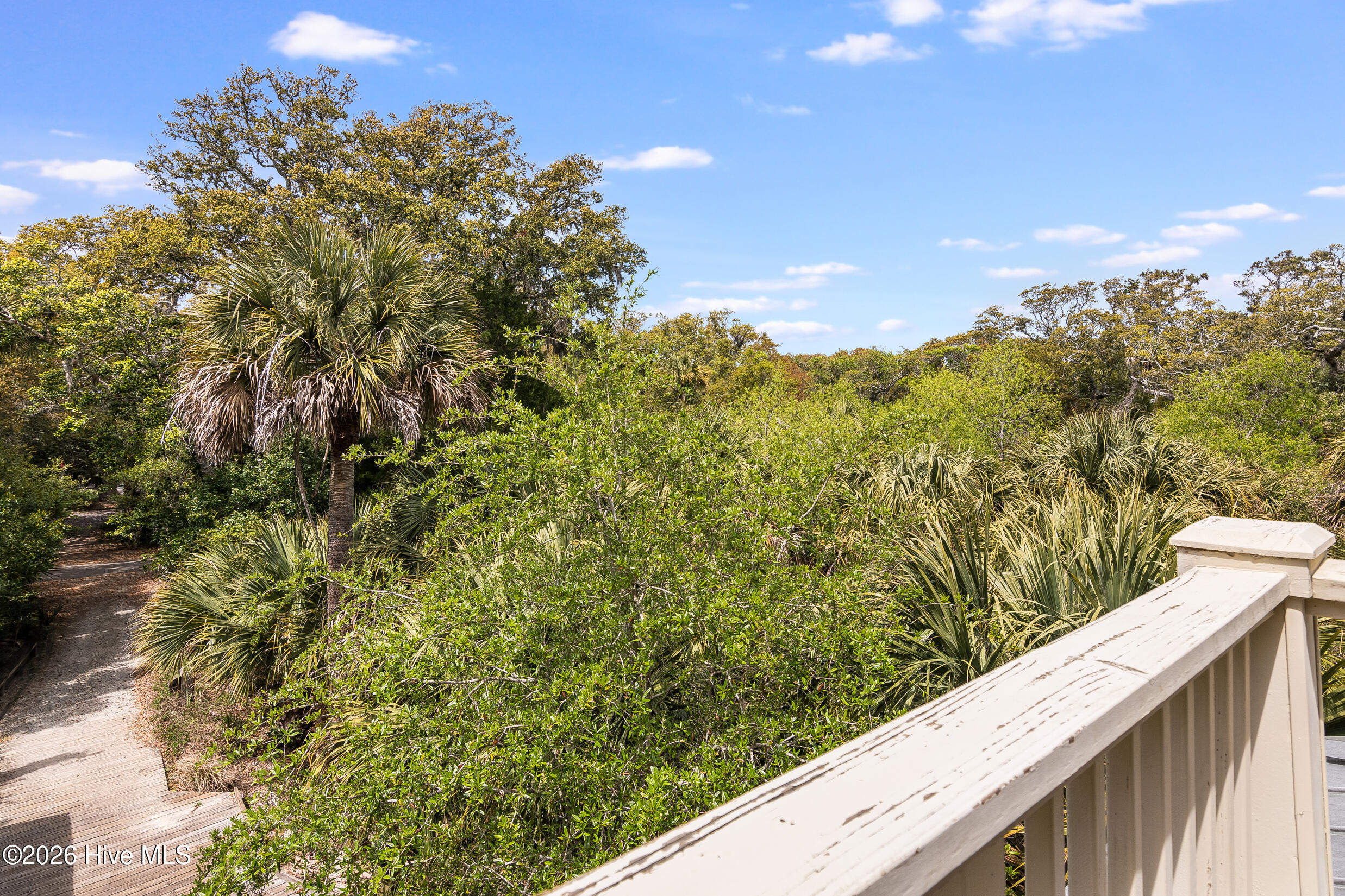 100570305 | Photo 33