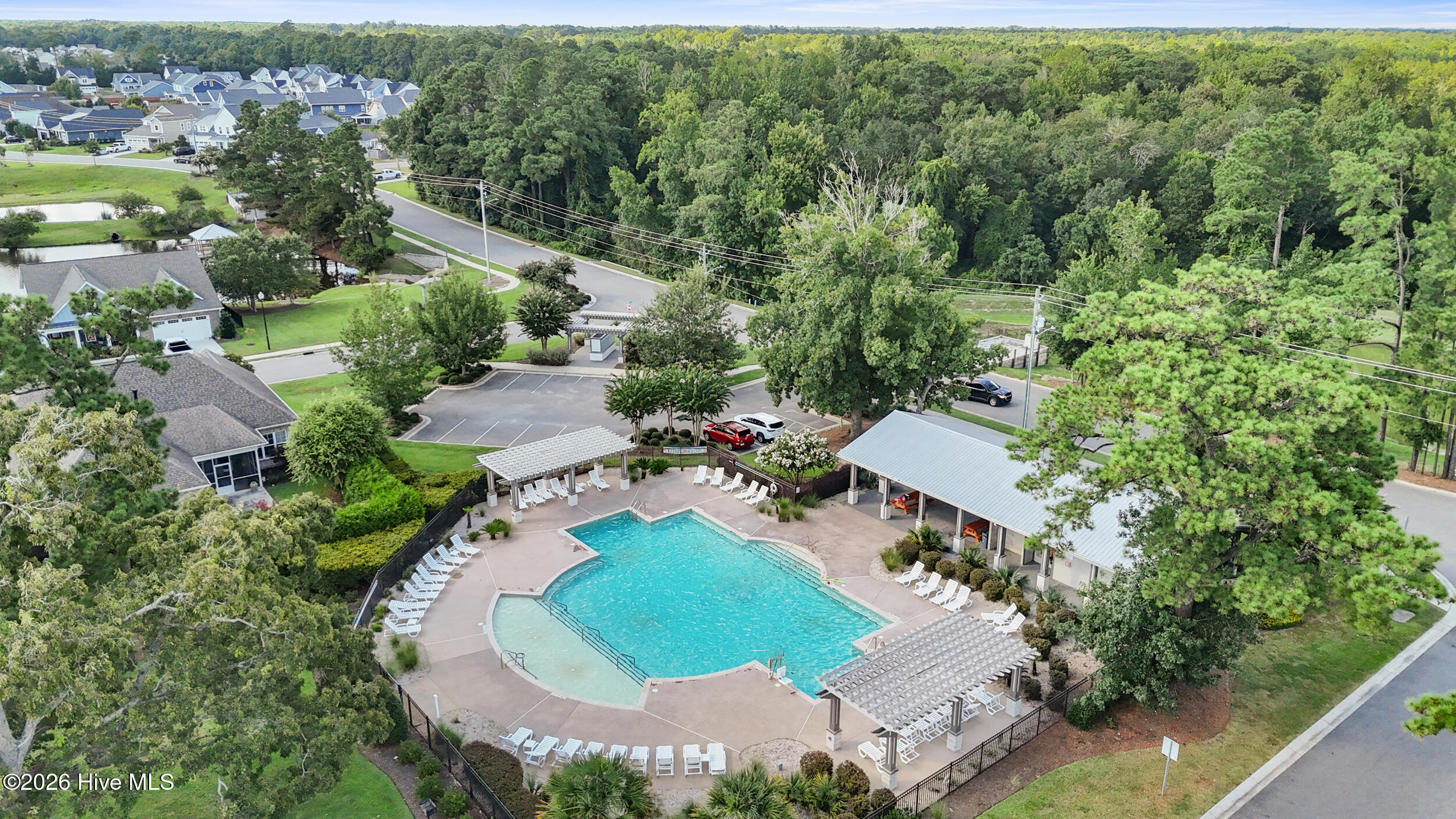 100554095 | Photo 50