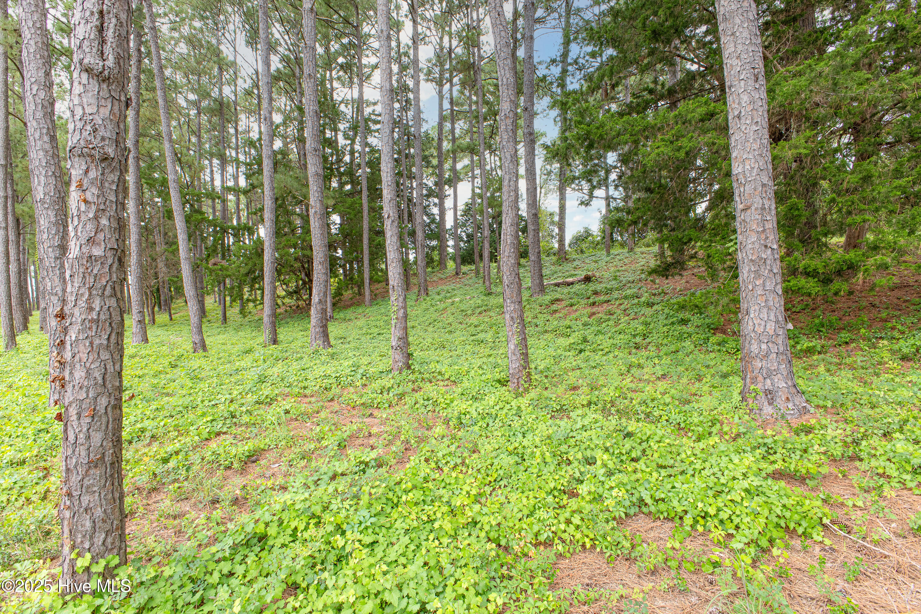 100529812 | Photo 12