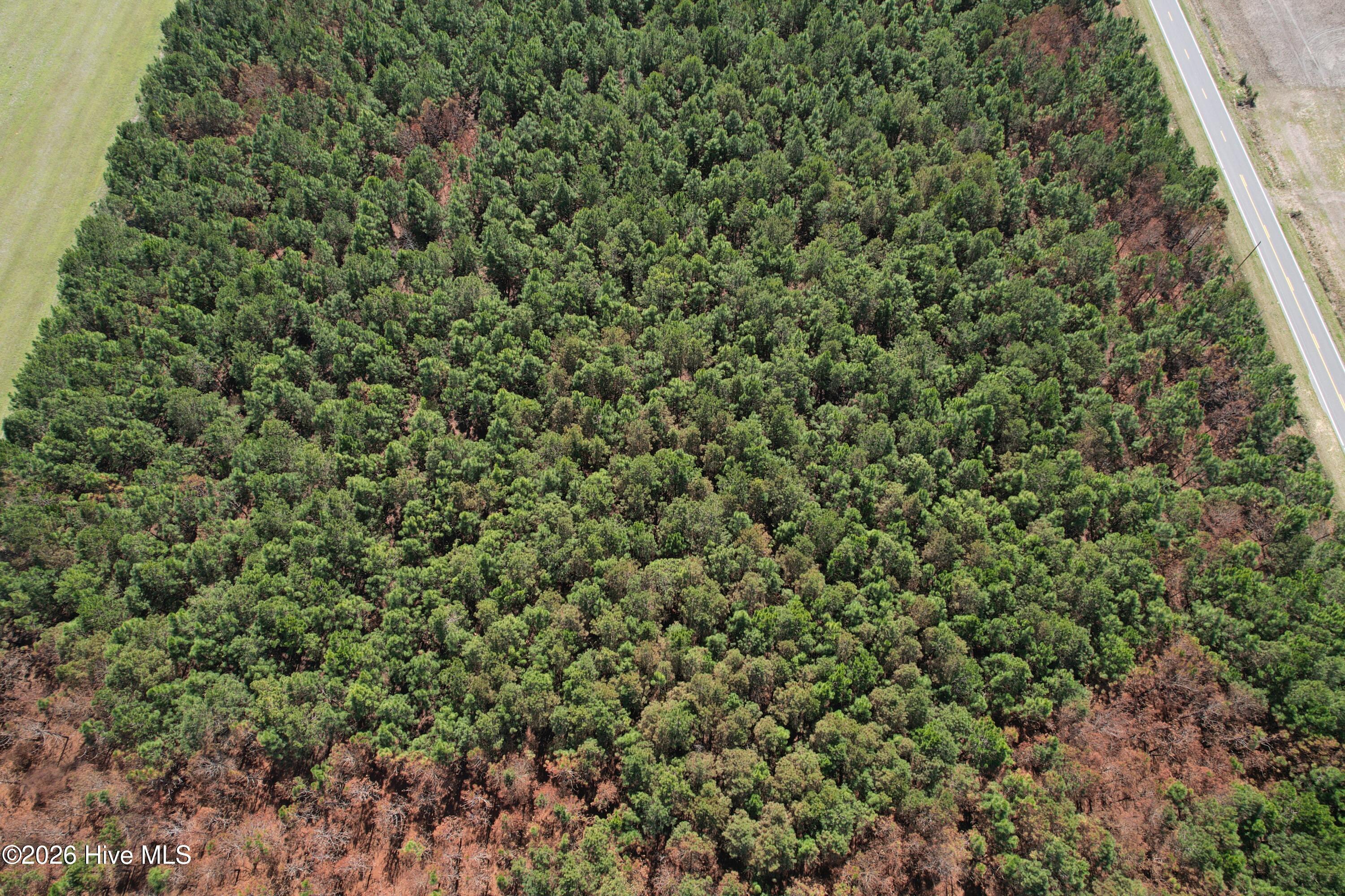 100560557 | Photo 18