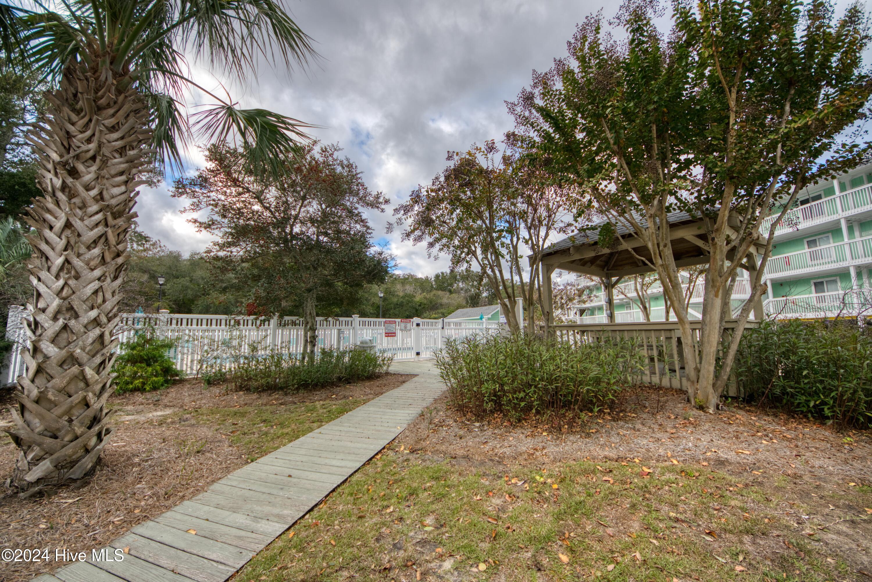 100557142 | Photo 26