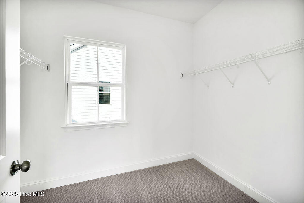 100526072 | Photo 22