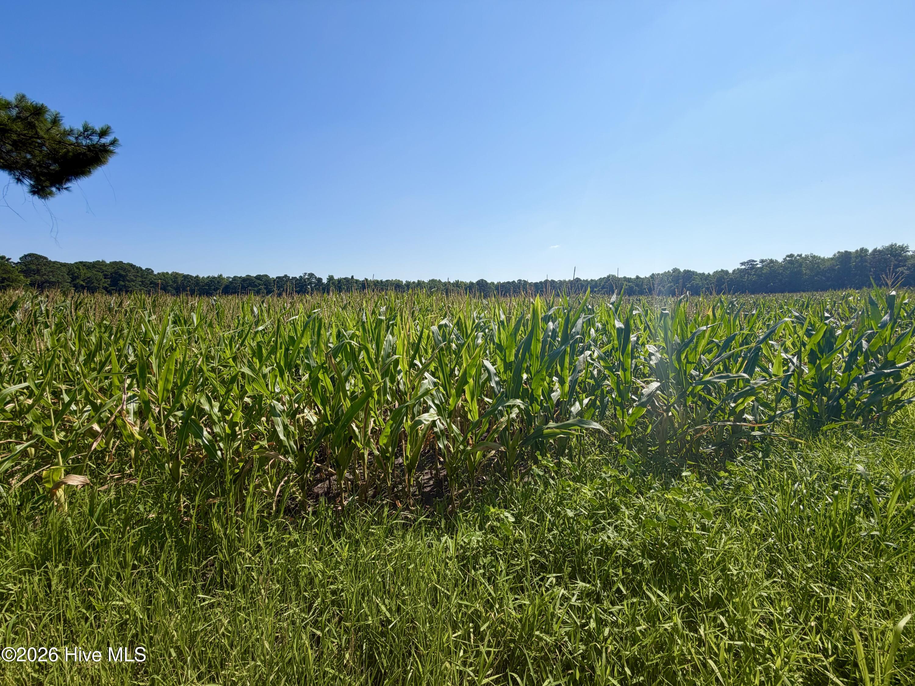 00 Cedar Fork Road,Beulaville