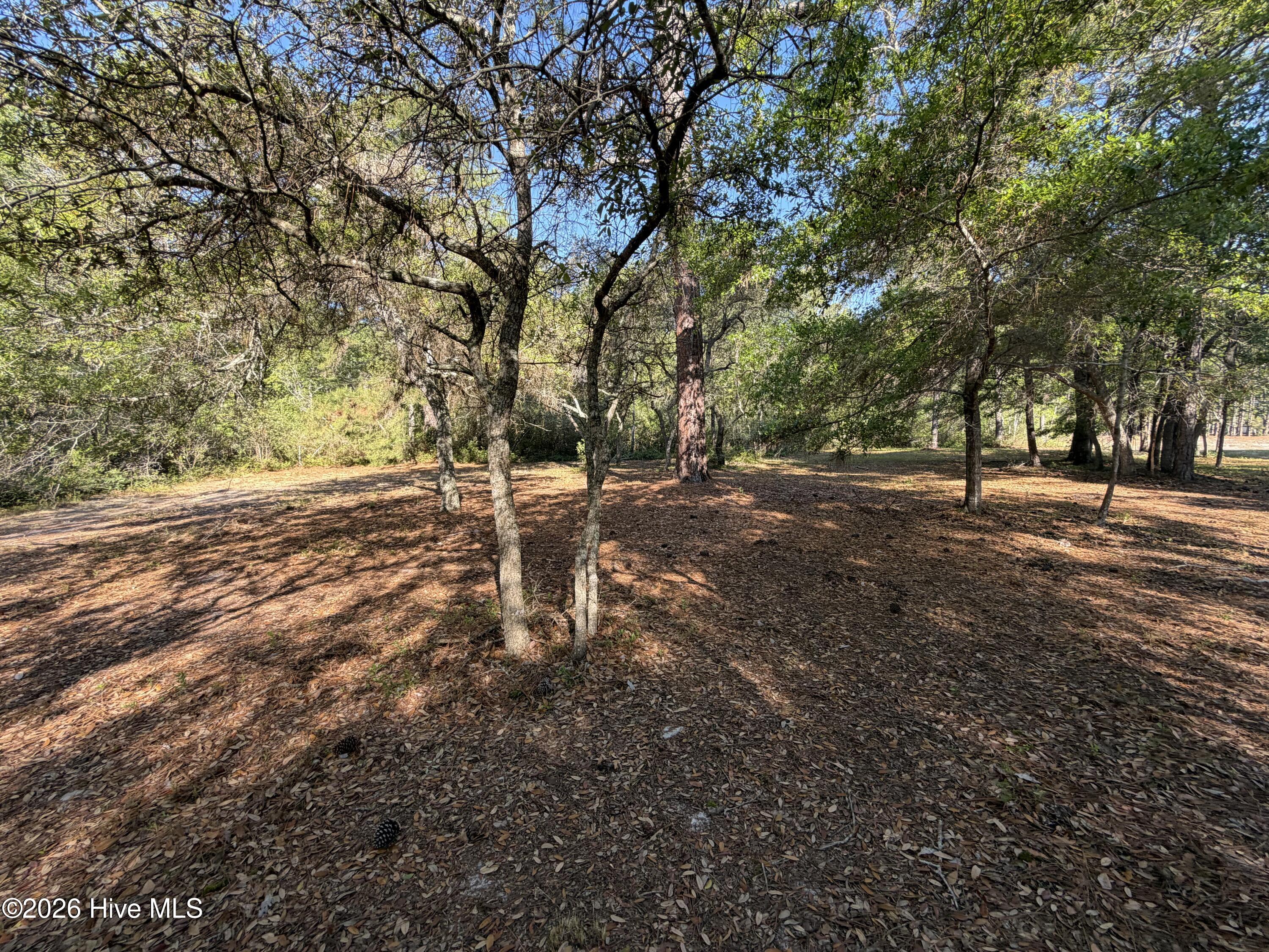 100569974 | Photo 17