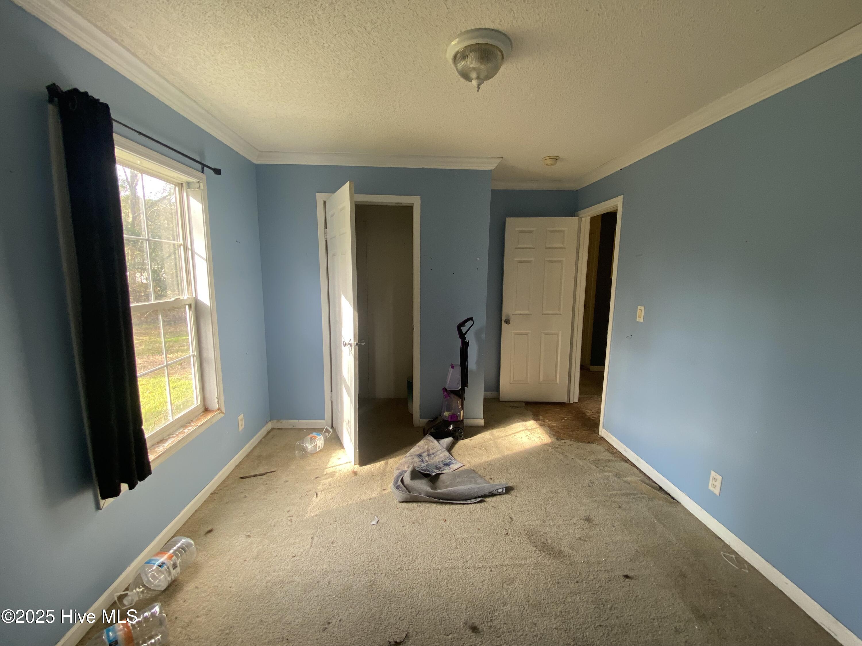 100543834 | Photo 20