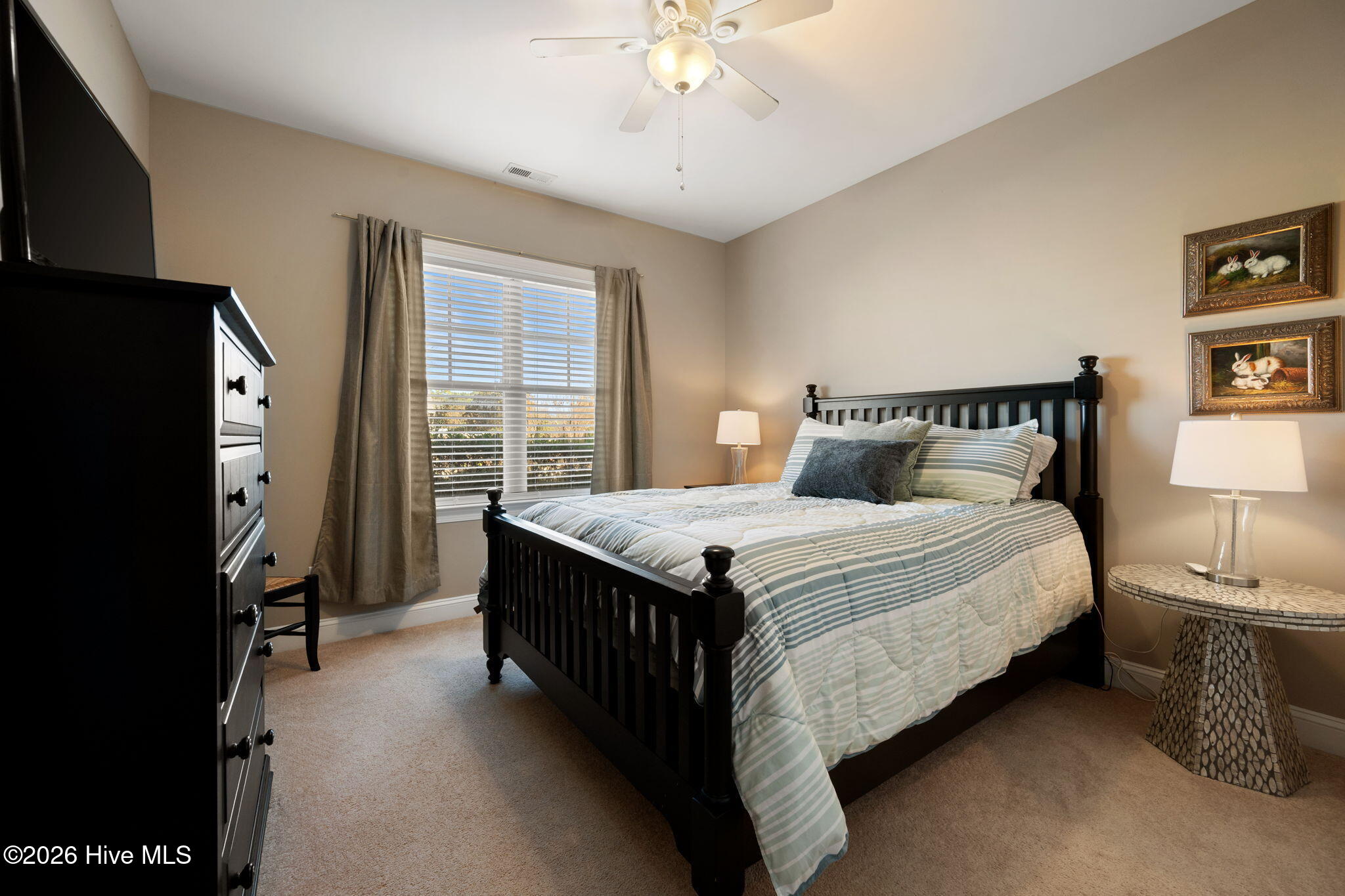 100558901 | Photo 23