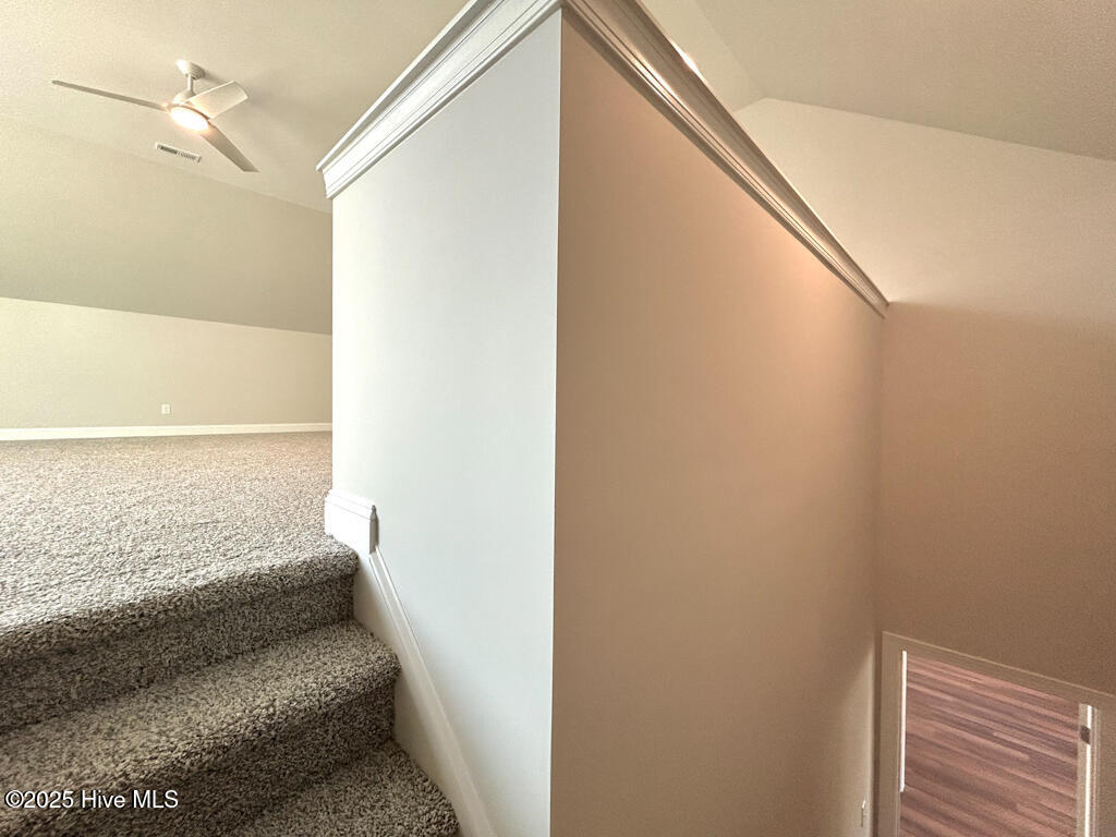 100510187 | Photo 67