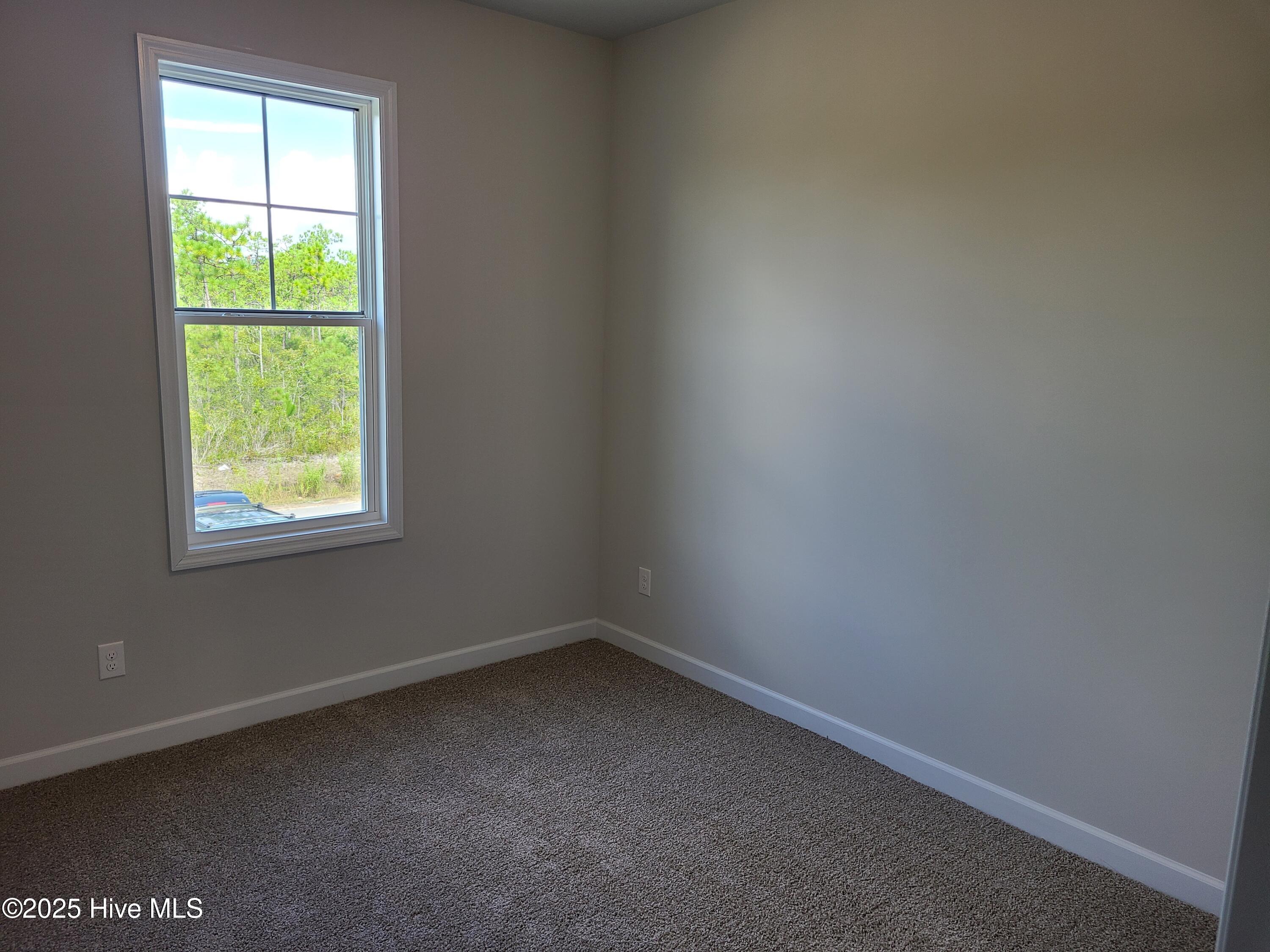 100537237 | Photo 14